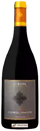 Winery Calmel & Joseph - Les Cuvées Rares La Ruffe