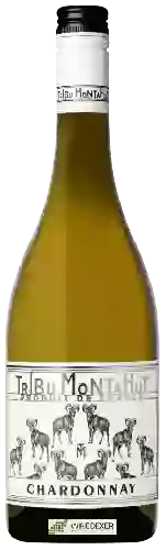 Winery Calmel & Joseph - Tribu Montahut Chardonnay