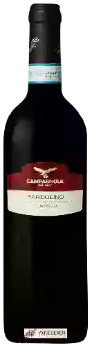 Winery Campagnola - Bardolino Classico