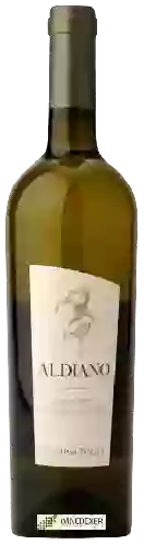 Winery Cantina Tollo - Aldiano Passerina