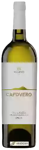 Winery Capovero - Grillo