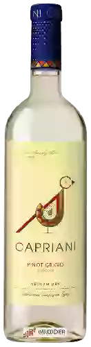 Winery Capriani - Pinot Grigio Rubicone Medium Dry