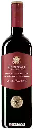 Winery Garofoli - Colle Ambro Rosso Piceno