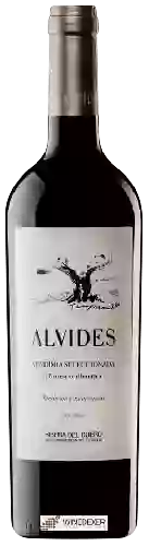 Winery Casado Alvides - Vendimia Seleccionada