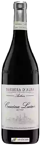 Winery Cascina Luisin - Axilium Barbera d'Alba