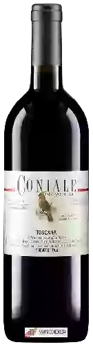 Winery Castellare - Coniale Toscana
