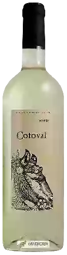 Winery Casto Pequeno - Cotoval Verdejo