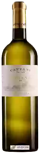 Winery Cattani - Costa Alta