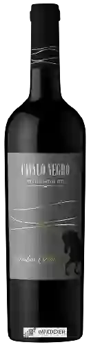 Winery Cavalo Negro - Vinhas Velhas