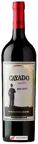 Winery Eduardo Vidal - Cayado Malbec