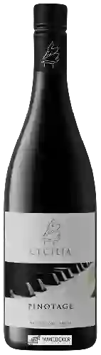 Winery Cecilia - Pinotage