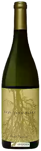 Winery Channing Daughters - Mudd Vineyard Sauvignon Blanc