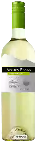 Winery Andes Peaks - Sauvignon Blanc