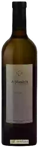 Winery Clos Signadore - A Mandria di Signadore Patrimonio Blanc