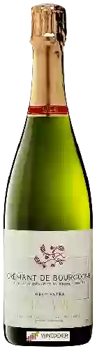 Domaine Les Temps Perdus - Clotilde Davenne - Crémant de Bourgogne Brut Extra