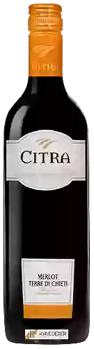 Winery Citra - Merlot Terre di Chieti