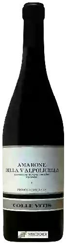 Winery Colle Vitis - Amarone della Valpolicella