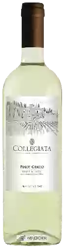 Winery Collegiata - Pinot Grigio