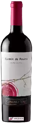 Winery Concha y Toro - Carmín de Peumo Carmenère