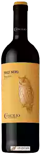 Winery Concilio - Nativi Trentino Pinot Nero