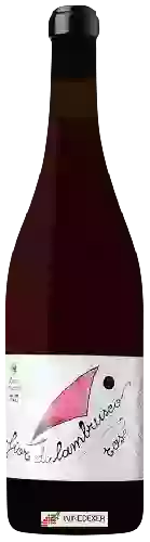 Winery Corte Manzini - Fior di Lambrusco Rosè