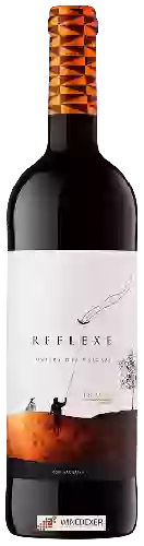 Winery Costers del Priorat - Reflexe