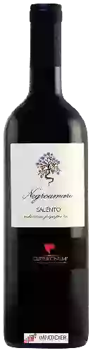 Winery Cupertinum - Negroamaro Salento