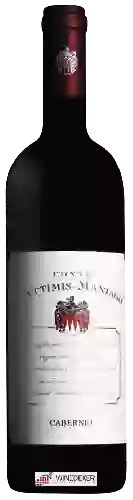 Winery Conte d'Attimis Maniago - Cabernet