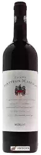 Winery Conte d'Attimis Maniago - Merlot