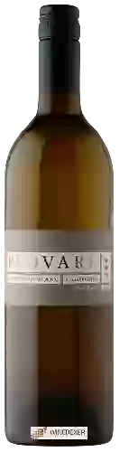 Winery David Marchesi - Provare Sauvignon Blanc