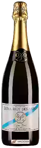 Winery Dieter Meier - Ojo De Agua Des Andes Extra Brut