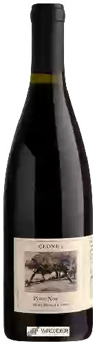 Winery Clone 5 - Pinot Noir