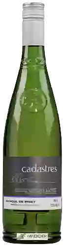 Domaine des Cadastres - Picpoul de Pinet