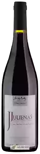 Domaine du Bois de Chat - Julienas