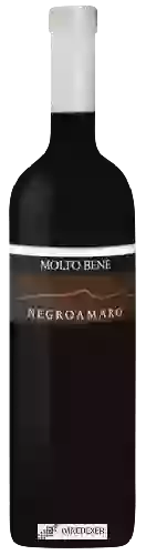 Winery Molto Bene - Negroamaro