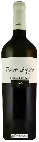 Winery Elusìa - Pinot Grigio