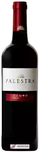 Winery Encostas do Douro - Palestra