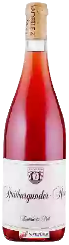 Winery Enderle & Moll - Spätburgunder Rosé