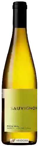 Winery Erste+Neue - Sauvignon