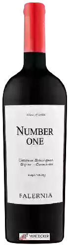 Winery Falernia - Cabernet Sauvignon - Syrah - Carménère Number One