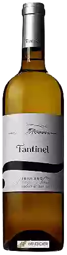 Winery Fantinel - Friulano Borgo Tesis