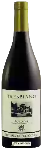 Winery Fattoria di Petrognano - Trebbiano