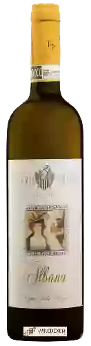Winery Fattoria Paradiso - Vigna dell'Olivo Albana