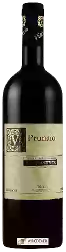 Winery Viticcio - Prunaio Toscana