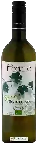 Winery Fedele - Bianco