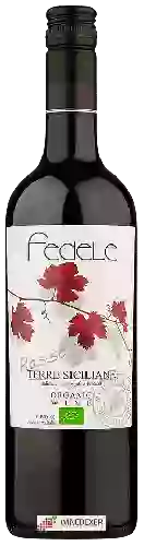 Winery Fedele - Rosso