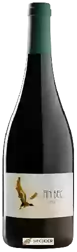 Cave Fin Bec - Syrah