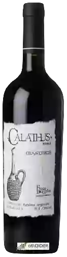 Winery Finca Don Carlos - Calathus Roble Gran Corte