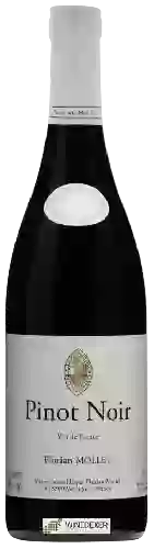 Winery Jean Paul et Florian Mollet - Pinot Noir