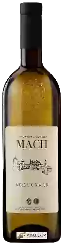 Winery Fondazione Edmund Mach - Moscato Giallo Trentino